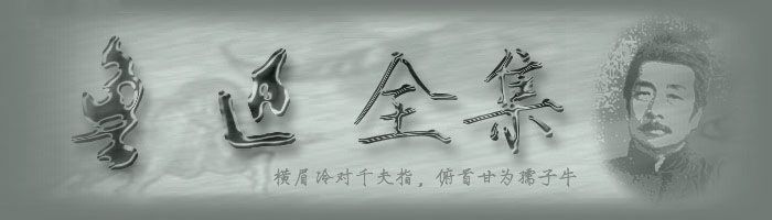 重慶網(wǎng)絡(luò )公司－魯訊（吶喊）
