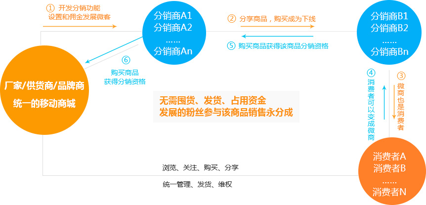 天蠶分銷(xiāo)商城結構圖