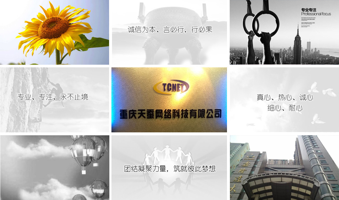 重慶天蠶網(wǎng)絡(luò )科技有限公司企業(yè)理念